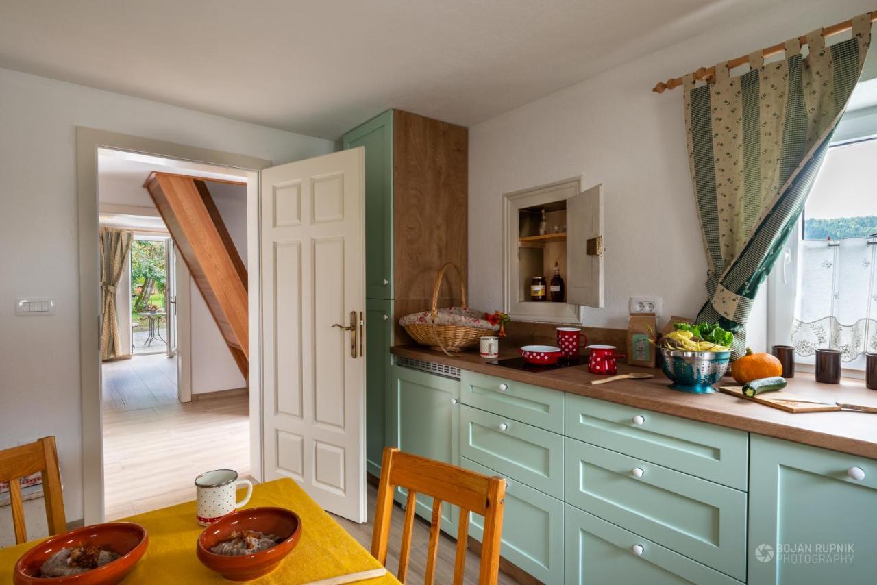 Cherry House - Cosy House - Ideal For Bear Watching, In The Neighborhood Of The Medieval Sneznik Castle Stari Trg pri Lozu المظهر الخارجي الصورة