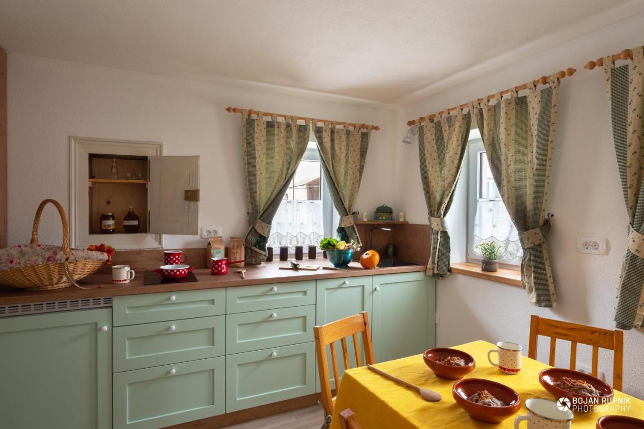 Cherry House - Cosy House - Ideal For Bear Watching, In The Neighborhood Of The Medieval Sneznik Castle Stari Trg pri Lozu المظهر الخارجي الصورة