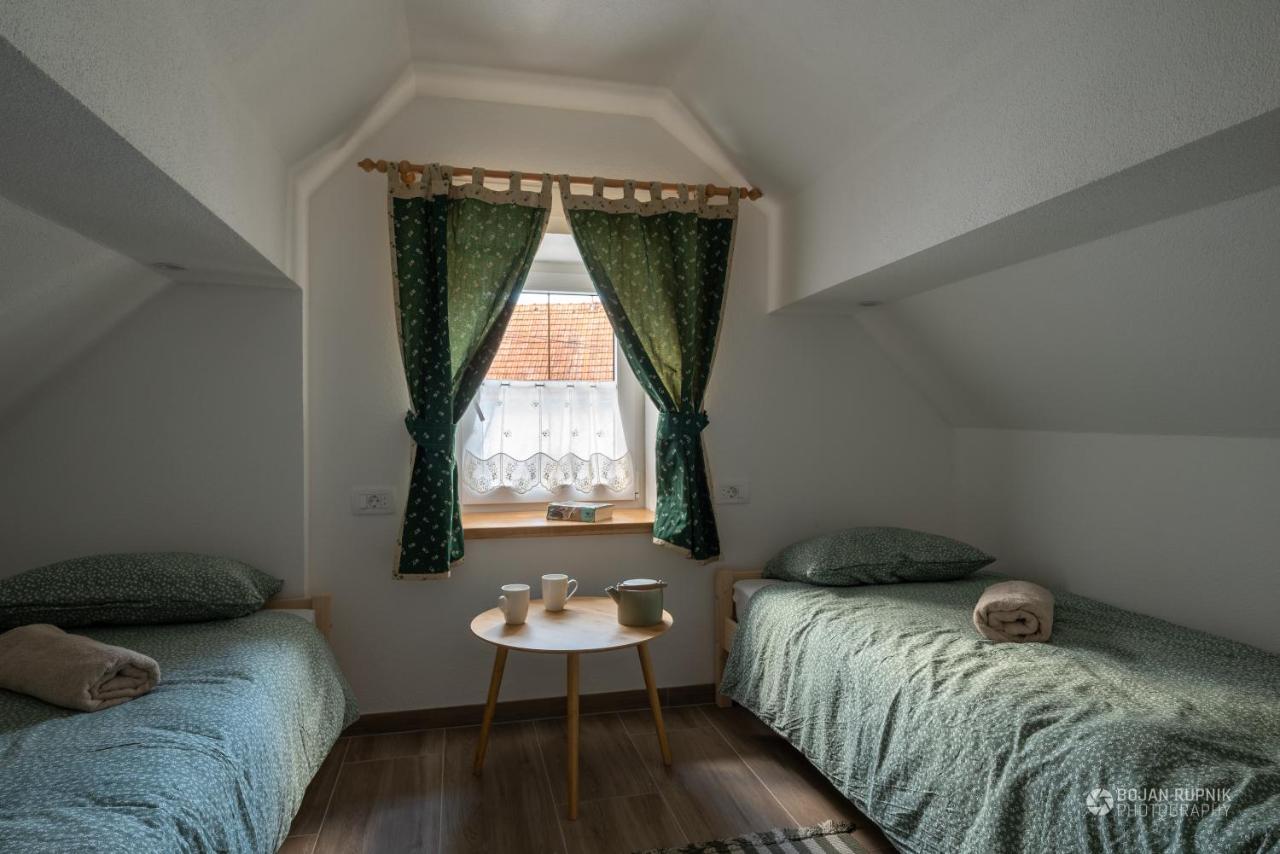 Cherry House - Cosy House - Ideal For Bear Watching, In The Neighborhood Of The Medieval Sneznik Castle Stari Trg pri Lozu المظهر الخارجي الصورة