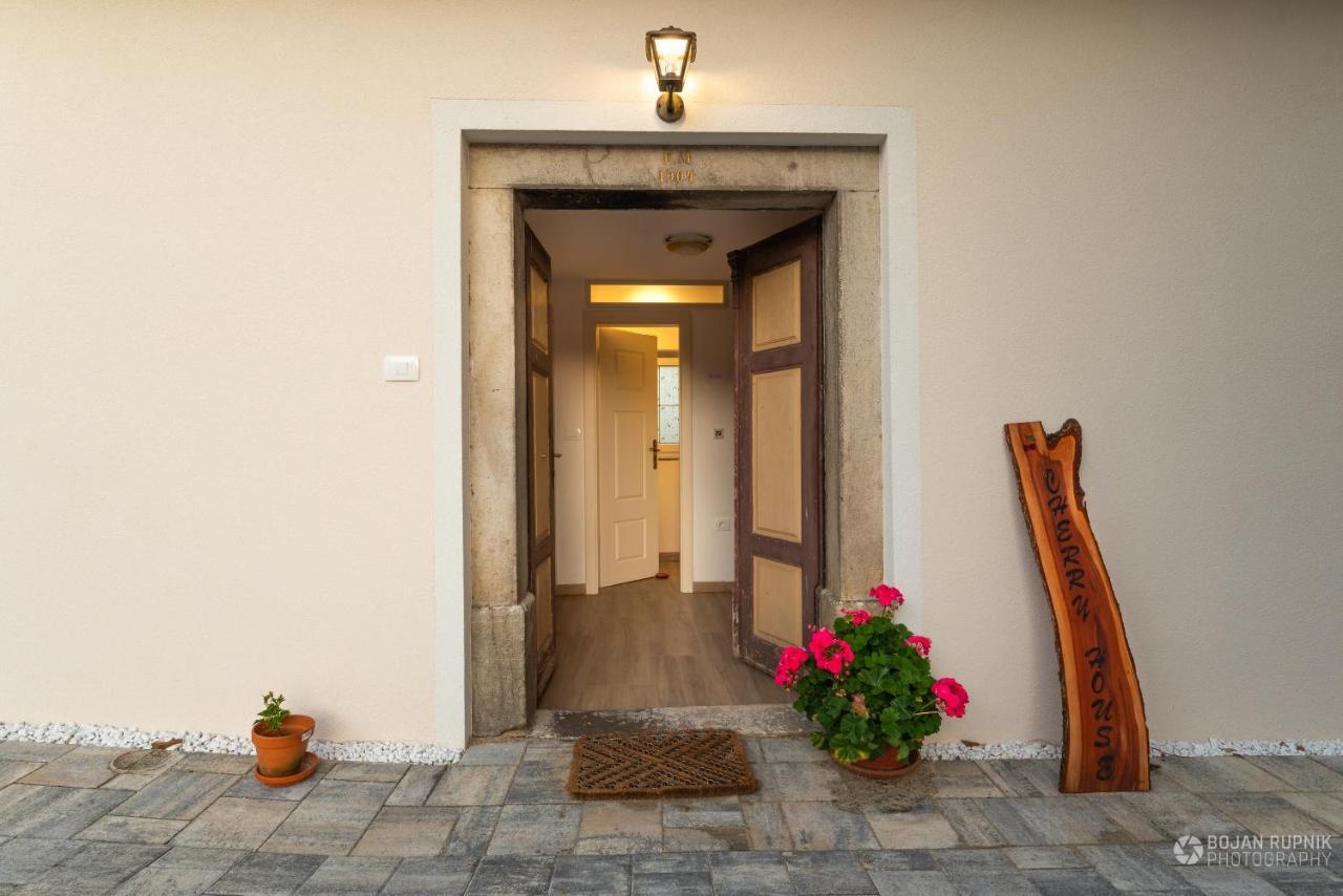 Cherry House - Cosy House - Ideal For Bear Watching, In The Neighborhood Of The Medieval Sneznik Castle Stari Trg pri Lozu المظهر الخارجي الصورة