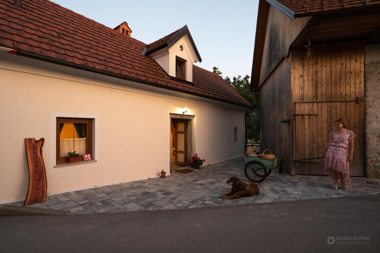 Cherry House - Cosy House - Ideal For Bear Watching, In The Neighborhood Of The Medieval Sneznik Castle Stari Trg pri Lozu المظهر الخارجي الصورة
